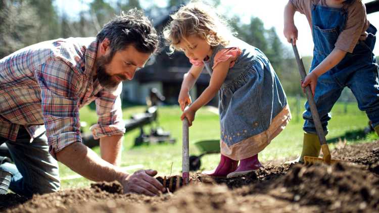 gezin werkt in moestuin